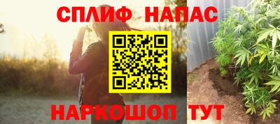 тгк Сланцы