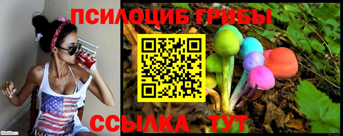 Бахчисарай  Псилоцибиновые грибы мицелий  Вход с VPN 